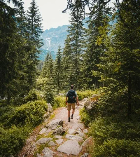 Accompagnement vers une Vie Sans Douleur